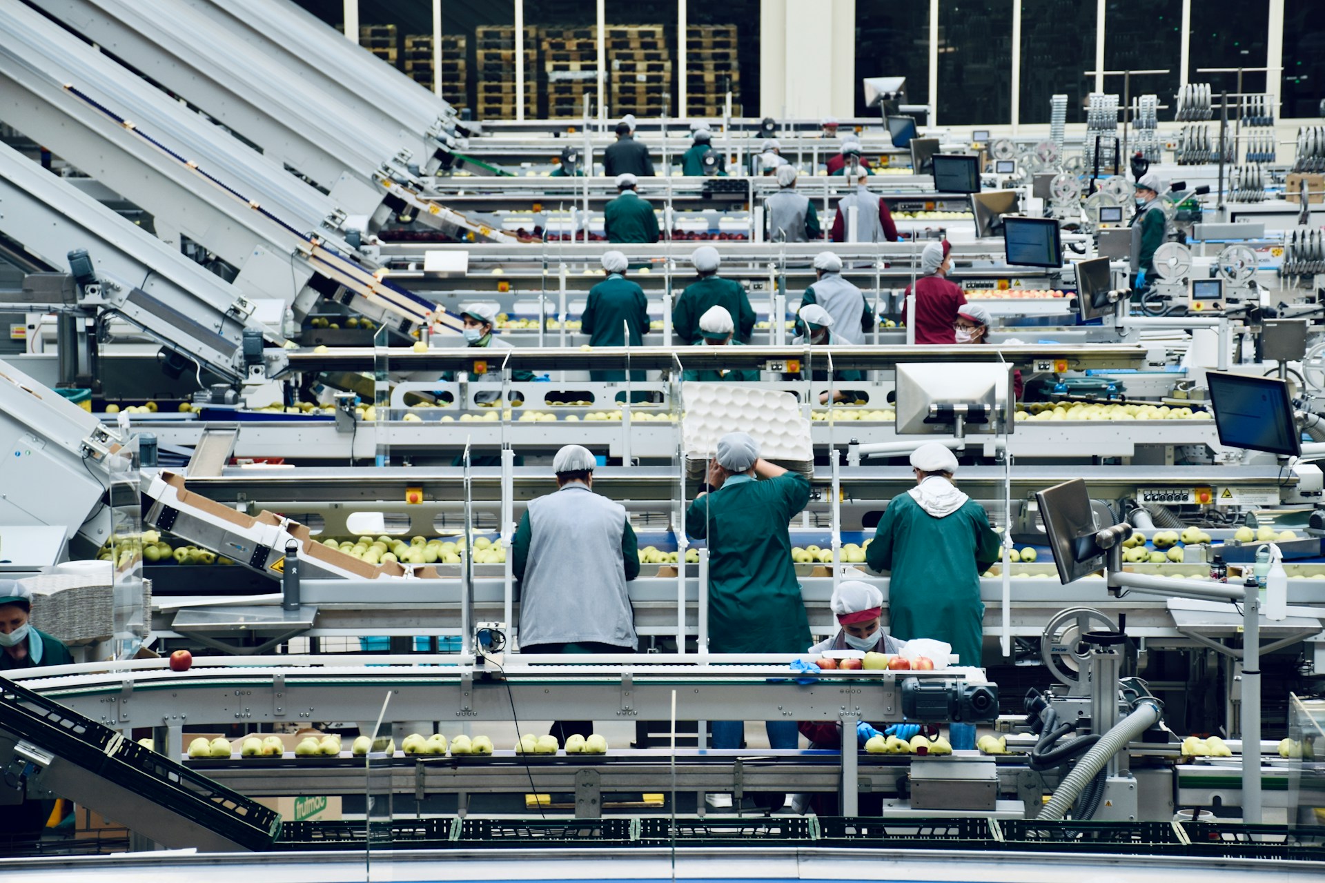 5 Game-Changing Robotics in Produce Packing