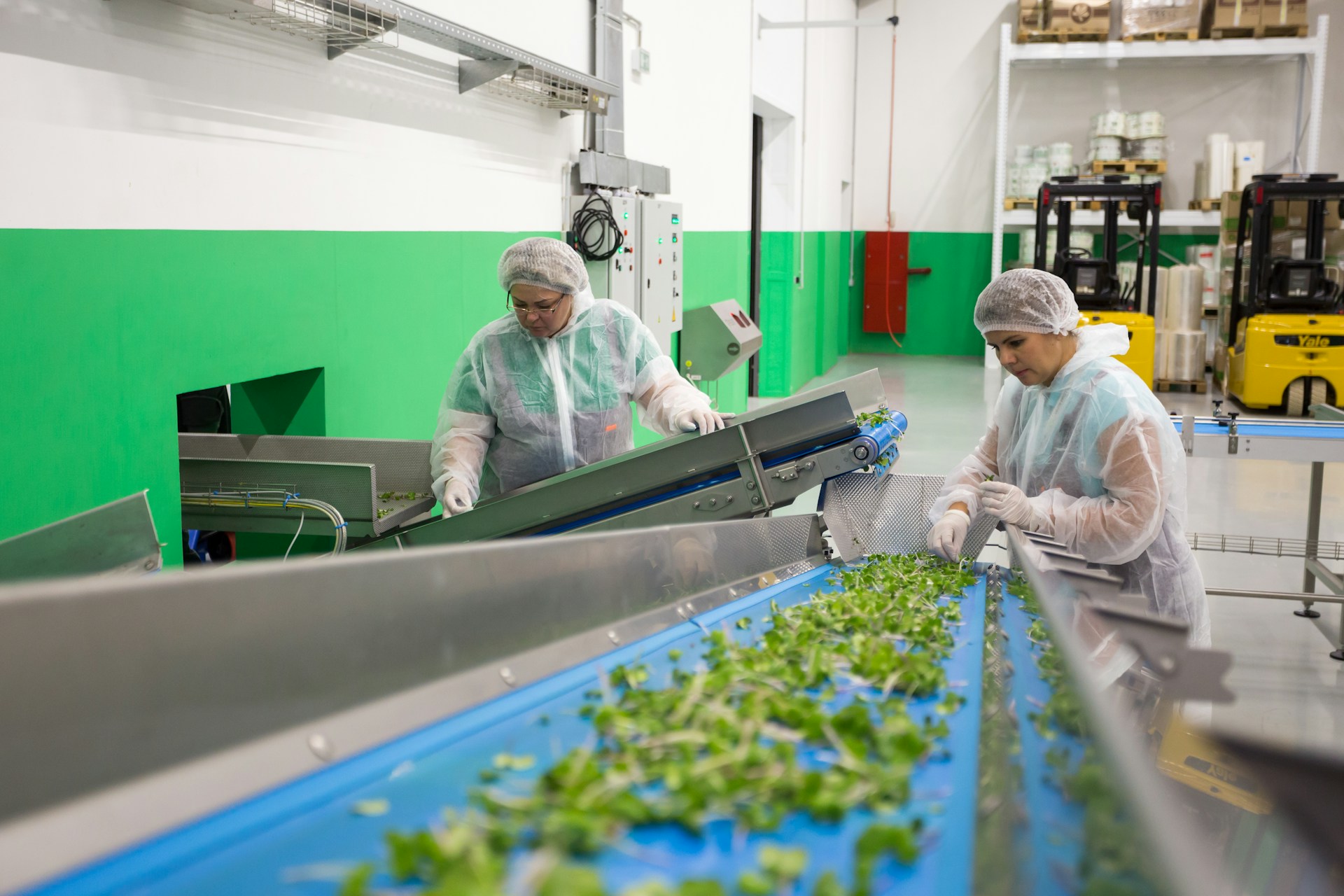 3 Pillars of Quality Assurance in Produce Packing