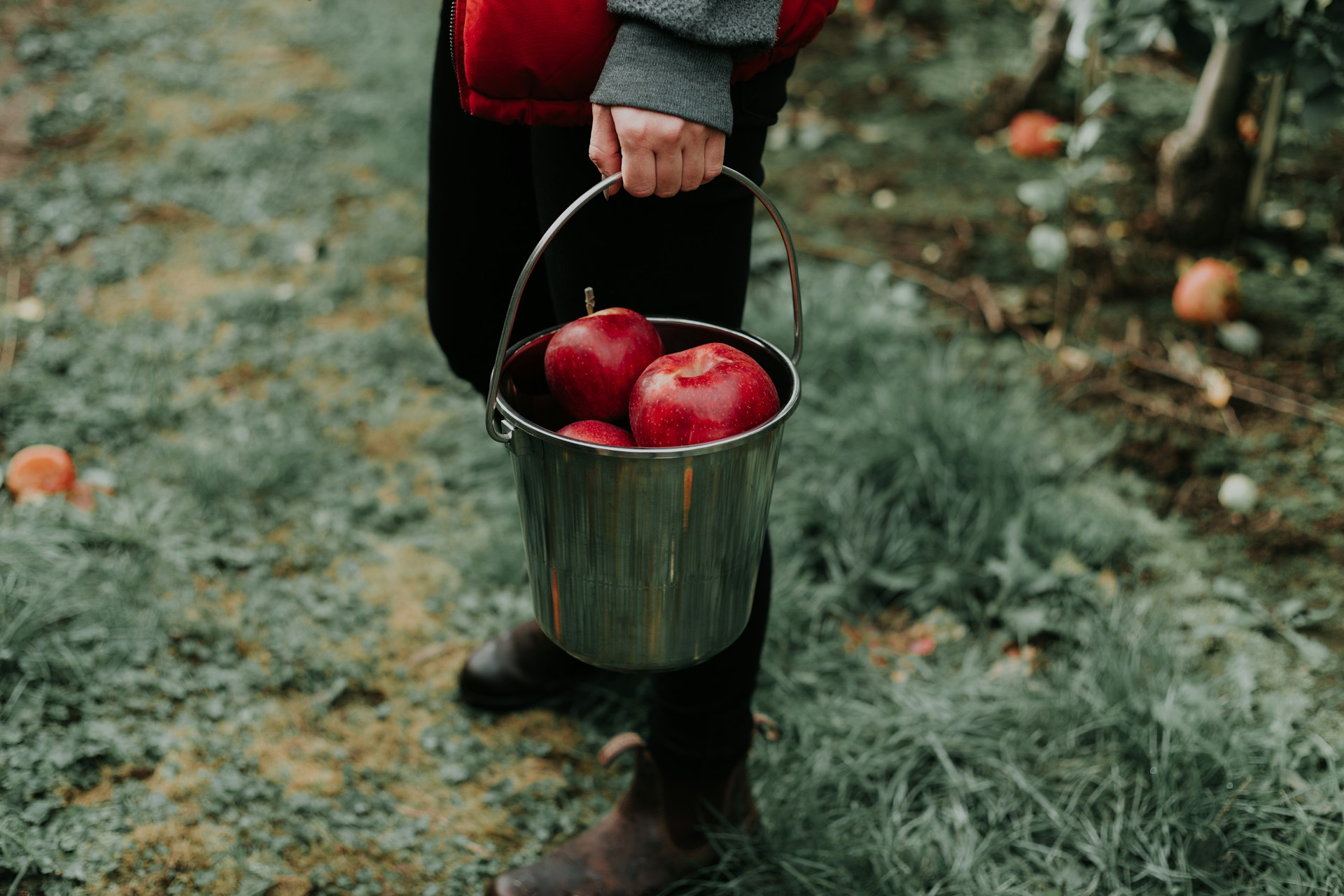 5 Ways to Enhance Worker Safety in Produce Packing Plants