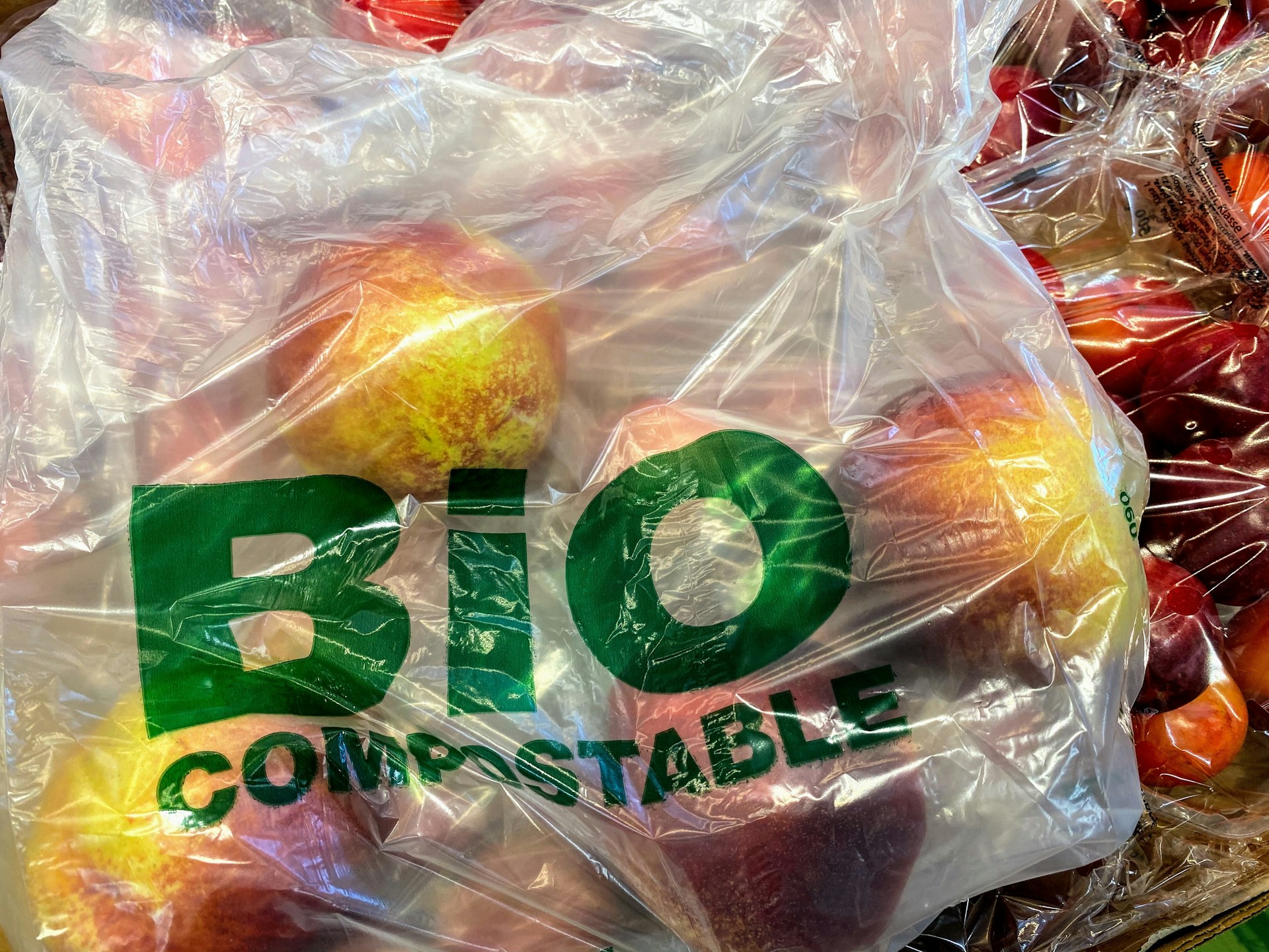 Impactful Ways to Use Recycled Materials in Produce Packing