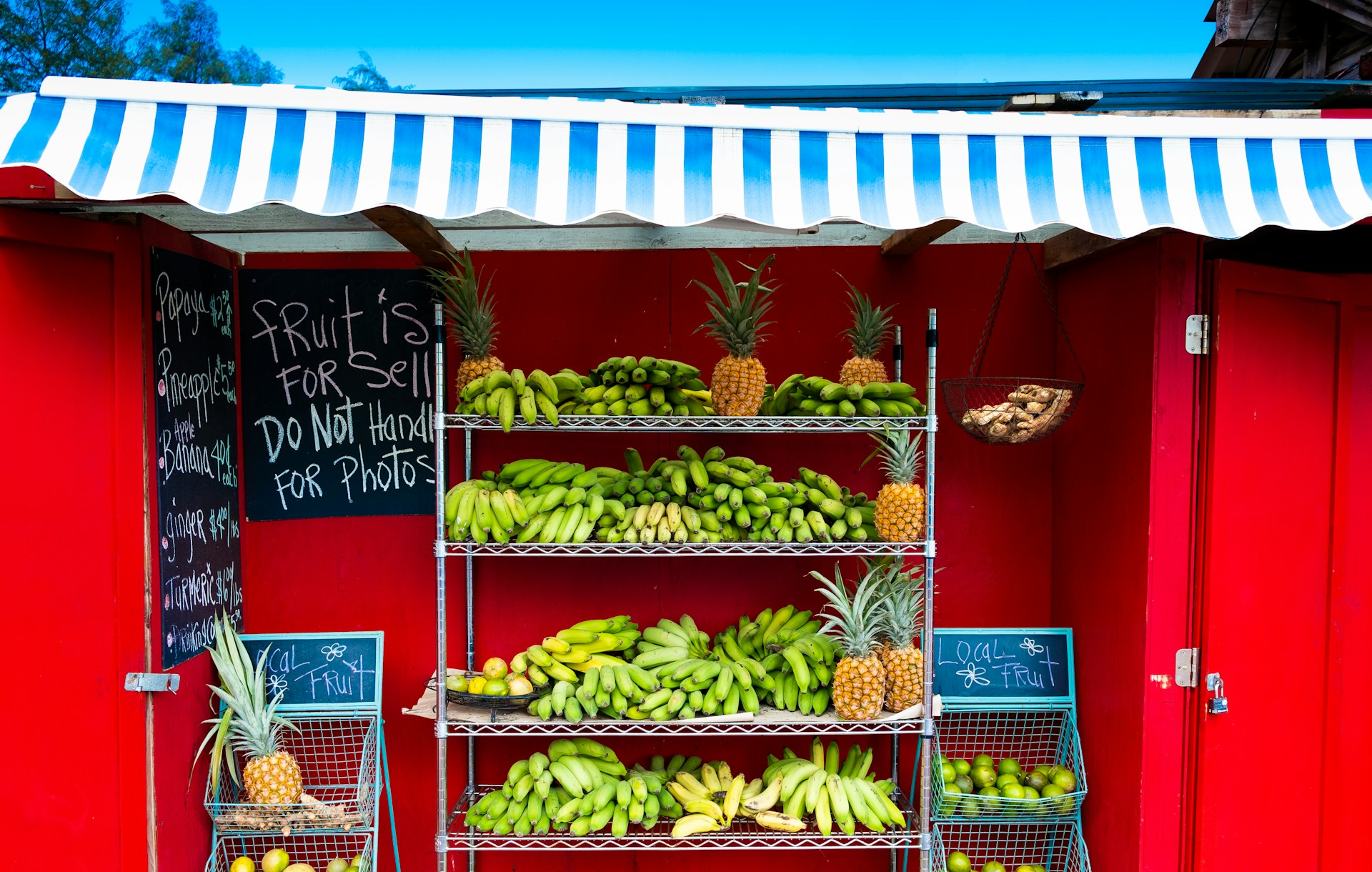 Packaging Designs That Extend Produce Shelf Life